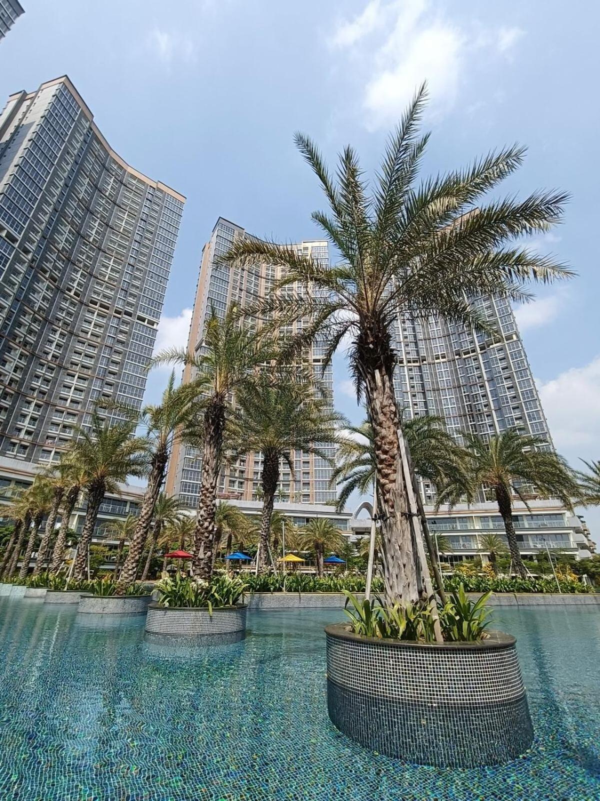 Appartement Gold Coast Dubai Netflix Jakarta
